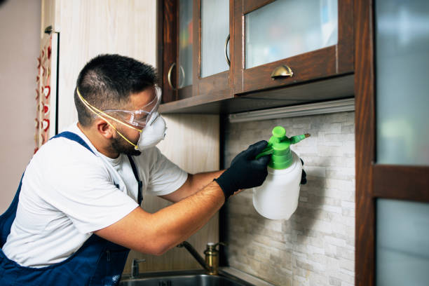 Best Exterminator Services  in Winthrop Harbor, IL