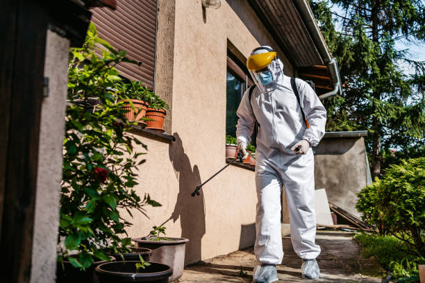 Best Affordable Pest Control Services  in Winthrop Harbor, IL