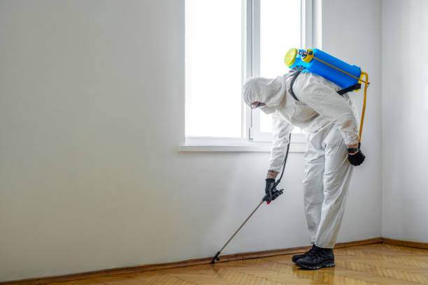 Best Termite Control Services  in Winthrop Harbor, IL