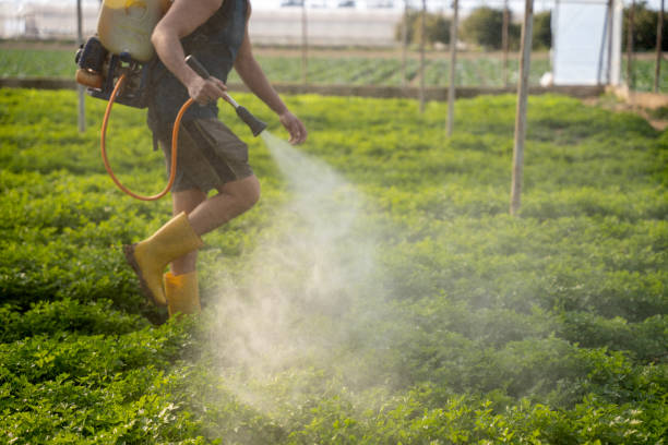 Best Commercial Pest Control Services  in Winthrop Harbor, IL