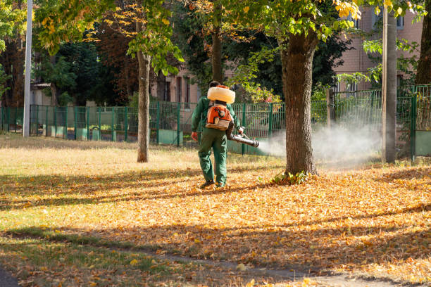Trusted Winthrop Harbor, IL Pest Control Experts