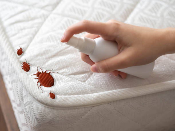 Best Pest Inspection Near Me  in Winthrop Harbor, IL